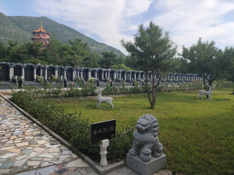 墓区图