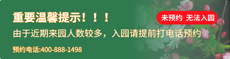 皇家龙山陵园公墓
